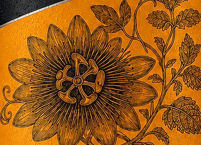 Passiflora engraving
