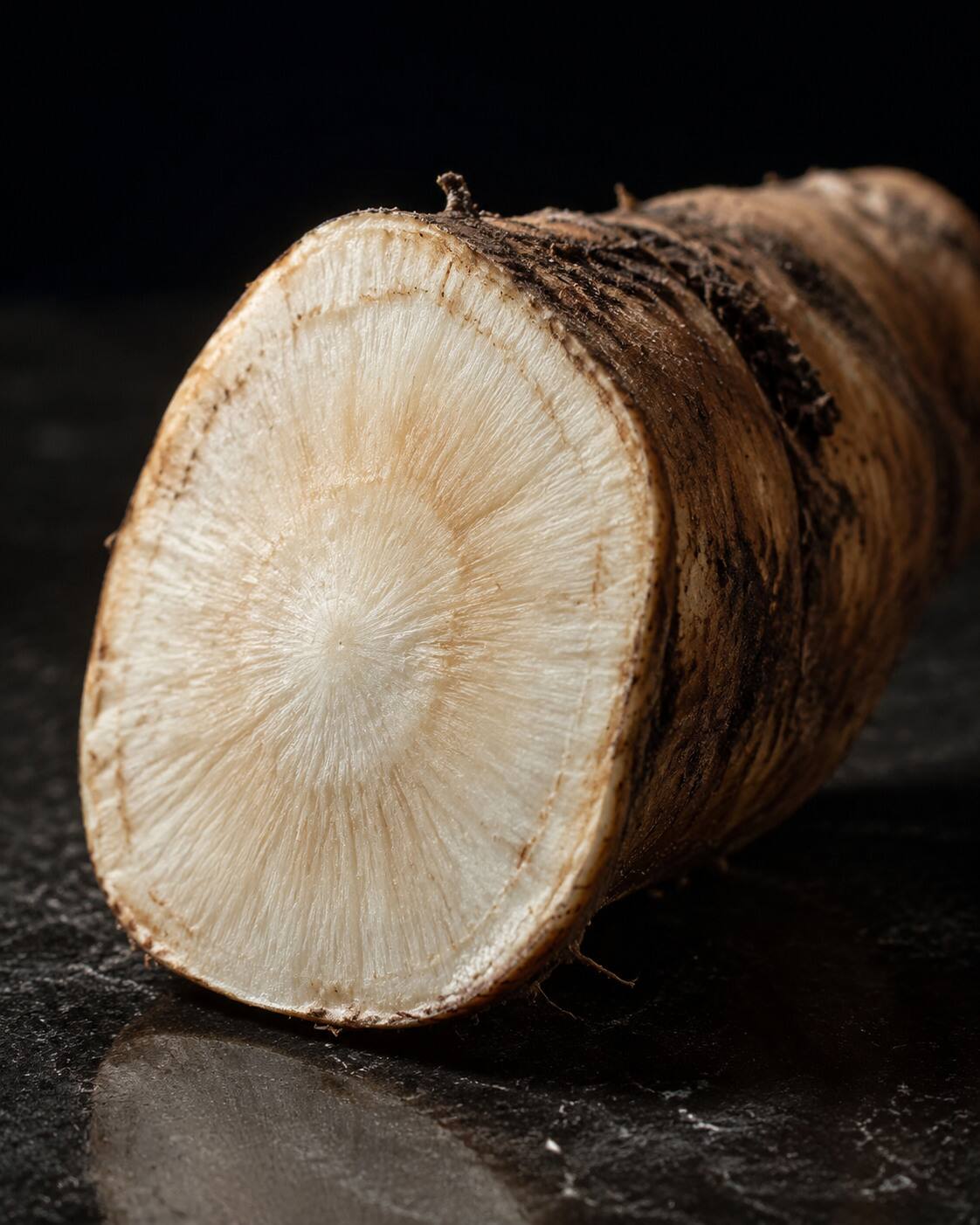 The root in cross-section. The pale interior is where the inulin sits.